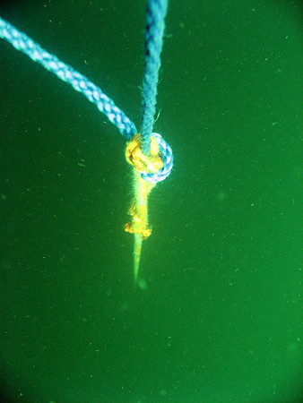 Utö, wreck of Park Victory. Mooring line going down.