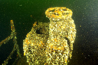 Valve to the refrigator system? Coolaroo was a refrigerator (or reefer) ship.