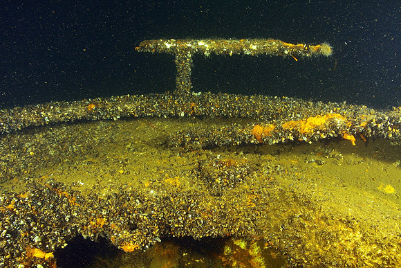 tip of the bow