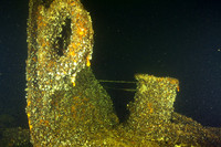 Here the bow section ends, at 15 m depth. When you go up the hill from here, you will find the ship's engine. On this dive we didn't go there.