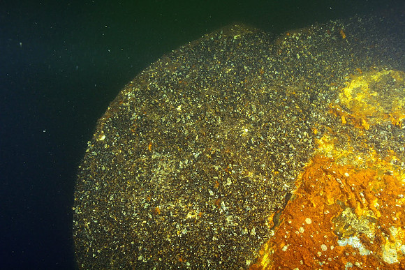 looking from below the bow towards surface, a bit dark above
