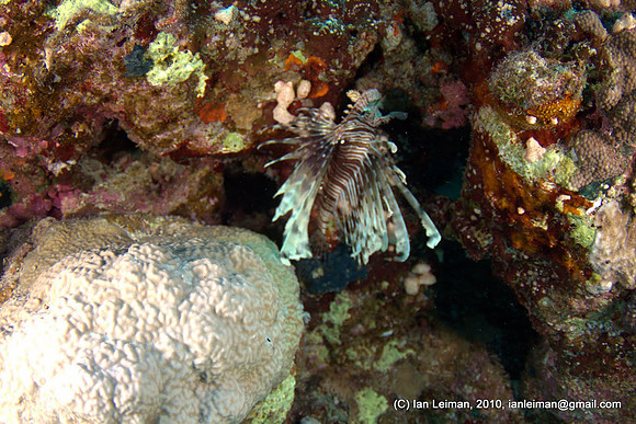 trying to get closer, but the camera is so big that it hits the rocks