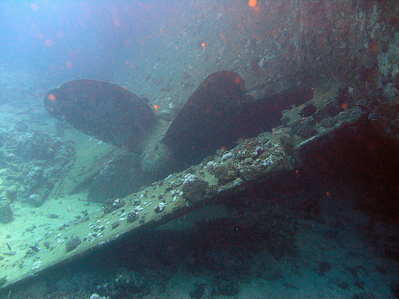 The wreck of Marcus (Tile Wreck) at Abu Nuhas, propeller and rudder (quite massive)