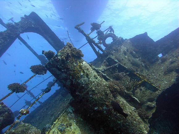 The wreck of Marcus