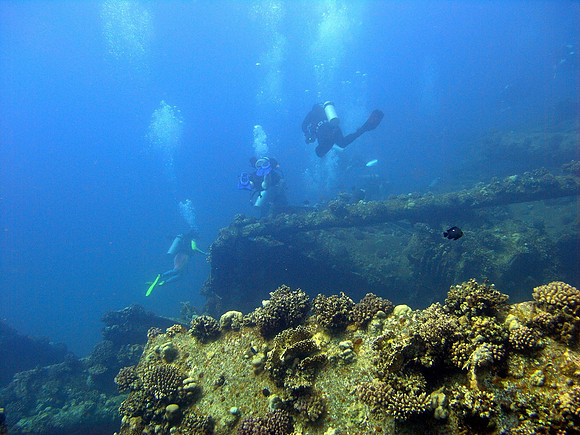 The wreck of Marcus