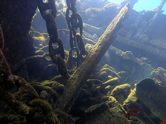 The wreck of Marcus