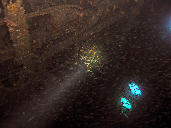 The wreck of Ghiannis "D" at Abu Nuhas, inside