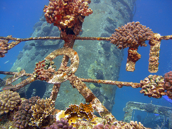The wreck of Ghiannis "D" at Abu Nuhas