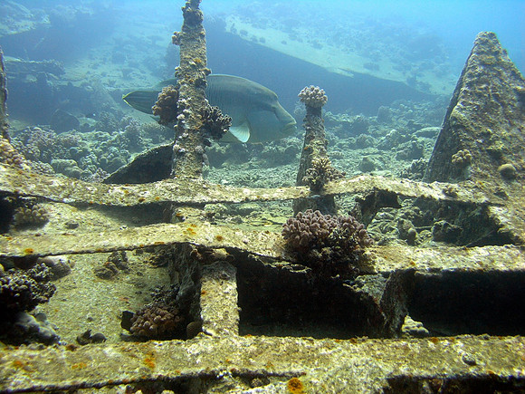 The wreck of Ghiannis "D" at Abu Nuhas