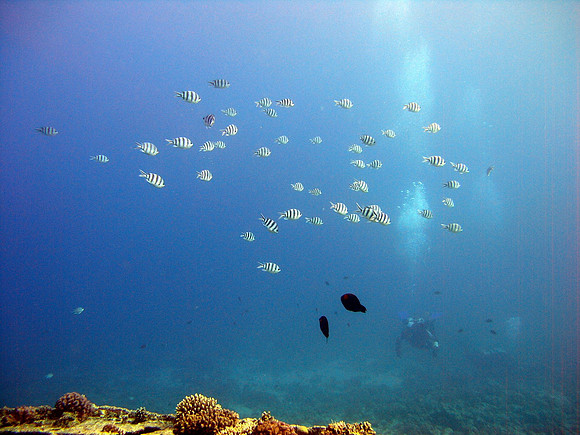 Small Gubal island