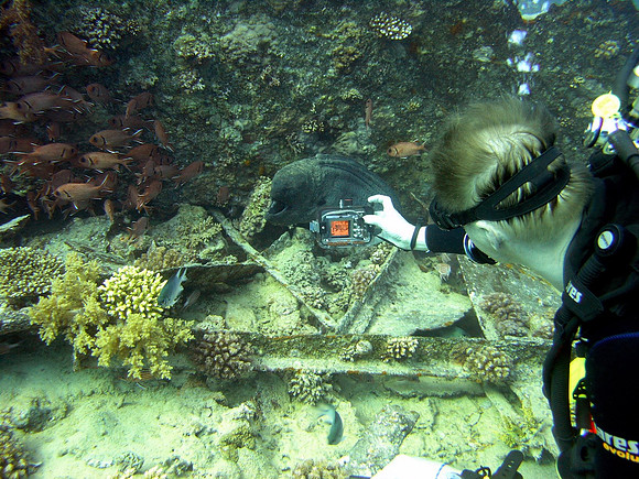 Small Gubal island, a Moray Eel