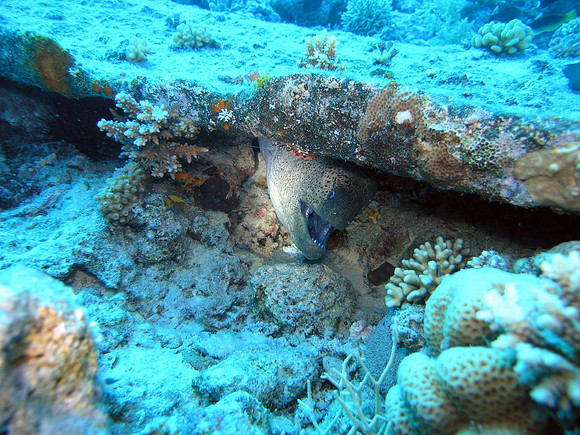 Small Gubal island
