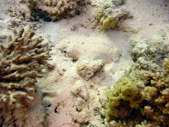 Small Gubal island