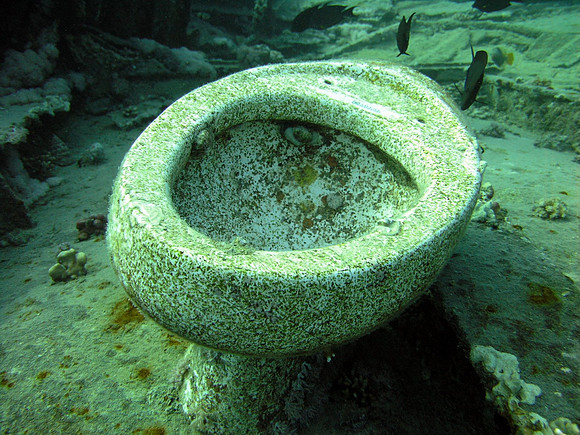 Wreckage of Yolanda, Ras Mohammed, toilet seat