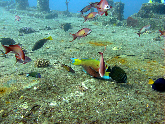 Wreck of S/S Thistlegorm