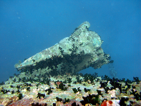 Wreck of S/S Thistlegorm