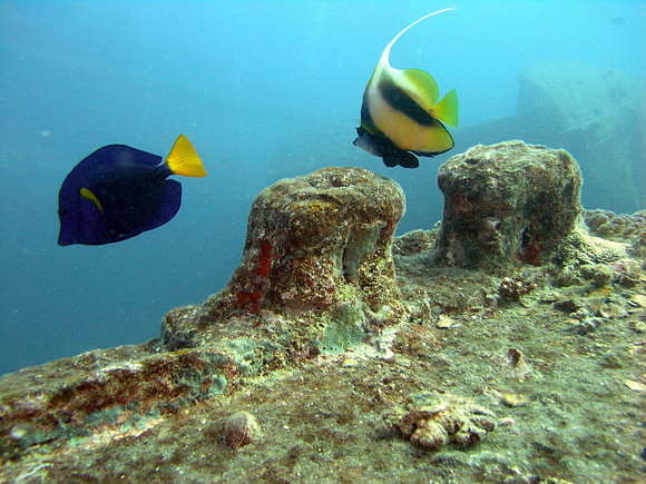 Wreck of S/S Thistlegorm