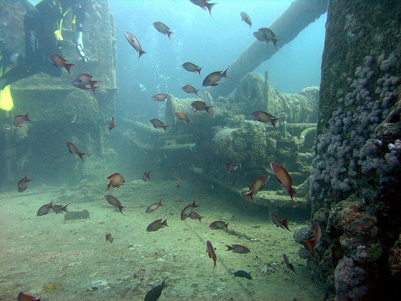 Wreck of S/S Thistlegorm