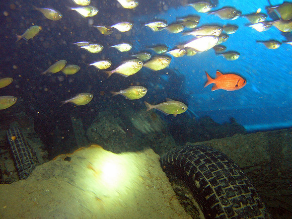 Thistlegorm