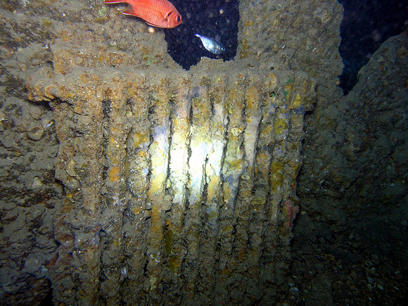 Thistlegorm, a radiator in the kitchen