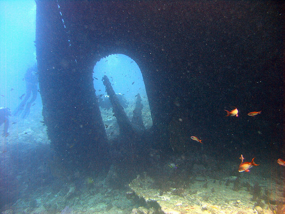 Kingston wreck at Shag Rock reef