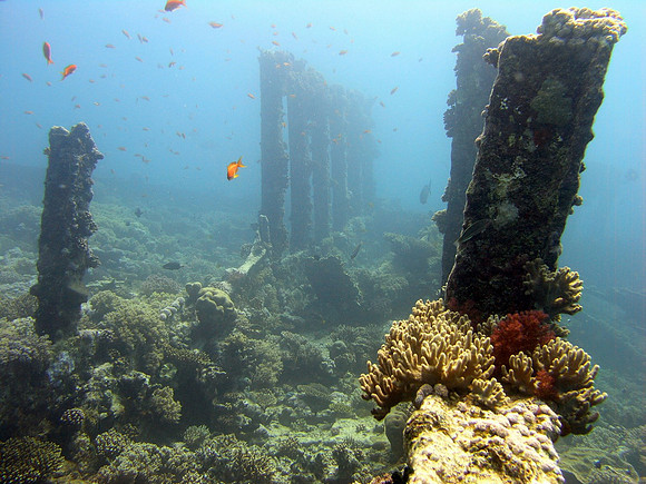 Kingston wreck at Shag Rock reef