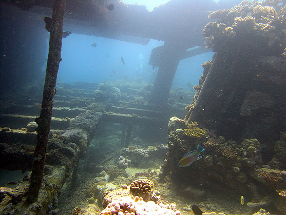 Kingston wreck at Shag Rock reef