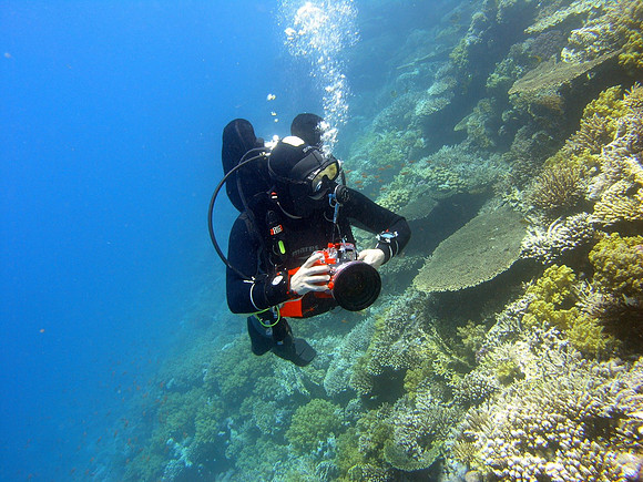 Jani S. (my buddy, not me) at Shag Rock reef