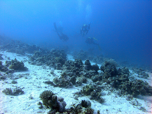 Siyul kebir, divers can be seen 30...40 m away. (In Finland this would be a fabulous viz.)