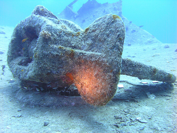 "Miniya" wreck, starboard side anchor