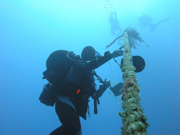 "Miniya" wreck, ascent line up to the boat