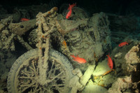 2015-04-13 Mon, UW Thistlegorm