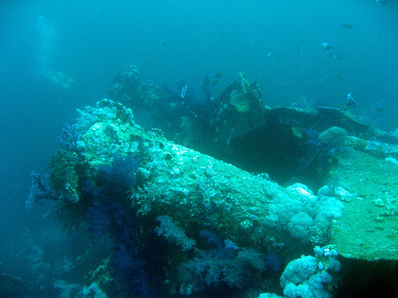 Aida wreck site at Big Brother, at depth of 33 meters