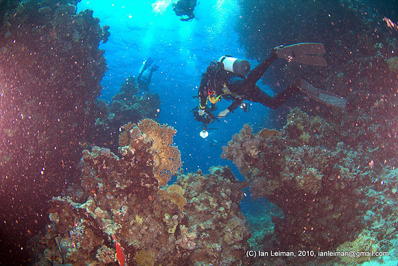 backscatter again