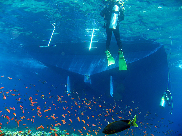 divers returning to boat at Elphinstone reef