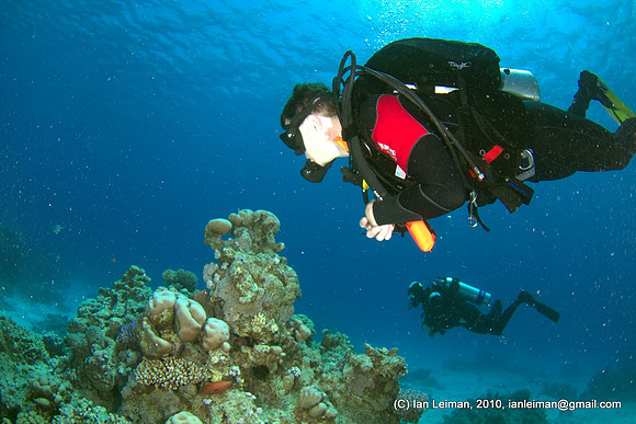 two divers