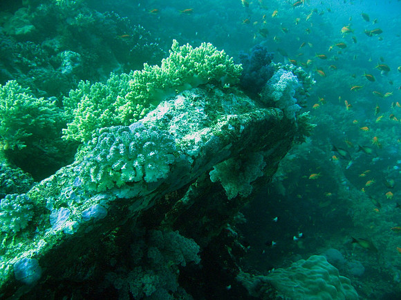 Numidia wreck at Big Brother, train wheel at top of wreck