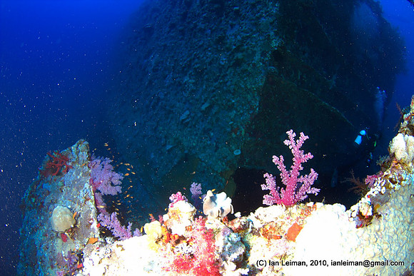 deepest point of dive at 44 meters