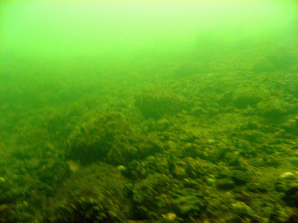 Gulf of Finland, "Porkkalaniemi". In "good" visibility = about 3 to 5 meters.