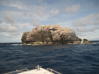 2013-07-15 diving