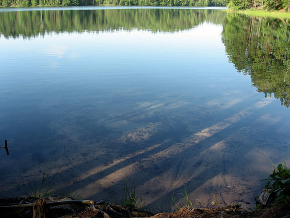 Kirkkaan näköistä vettä noin pinnalta katsoen. Tästä me mentiin veteen.