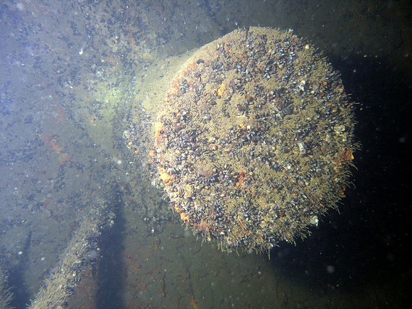 Baltic Sea, wreck of Coolaroo