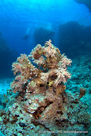 portrait orientation, the divers and big rocks in behind are +20 m away, our boat can be seen in the far away distance