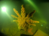 2021-08-12 D0824 M451