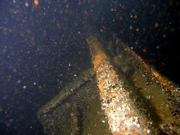 Baltic Sea, wreck of Coolaroo
