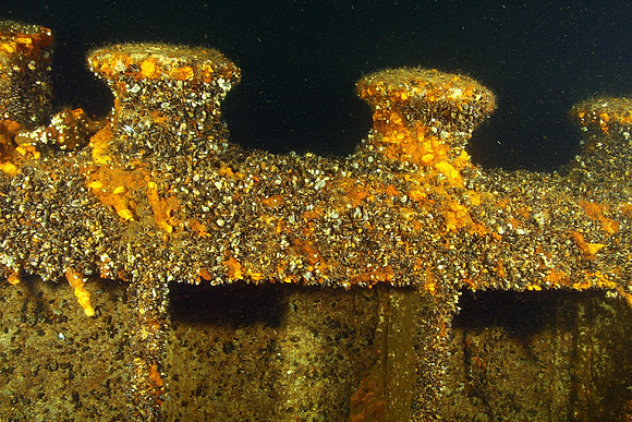 very near of the tip of the bow