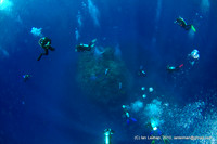 Plunge onto the 7 deep habilis of Ohrob. The habili (pinnackle) seen below is peaking at 20 msw, and the bottom is around 50...60 msw also seen below. Negative entry from the moving boat into stream f