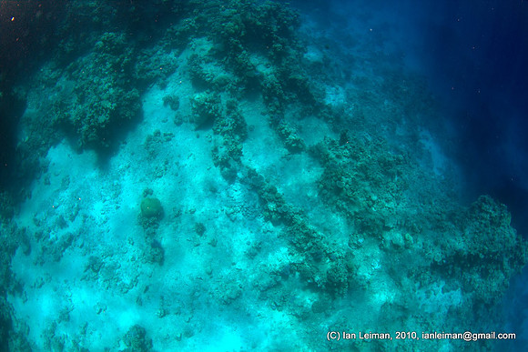 The very first open water underwater picture with this camera. Obviously just to test that it works. This is just below surface looking at the bottom at 15 m depth. With the fisheye lens you actually