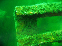 Utö, wreck of Park Victory.