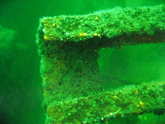 Utö, wreck of Park Victory.